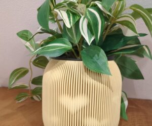 Herzlicht_Vase_3DCreateLab_Pflanze