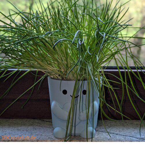 Cute Face Planter – Blumentopf mit Herz