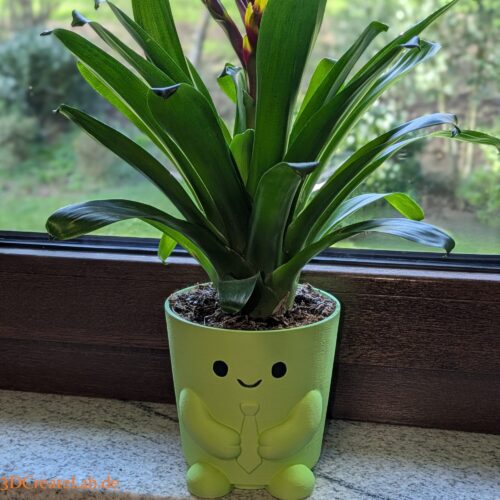 Cute Face Planter – Blumentopf mit Krawatte