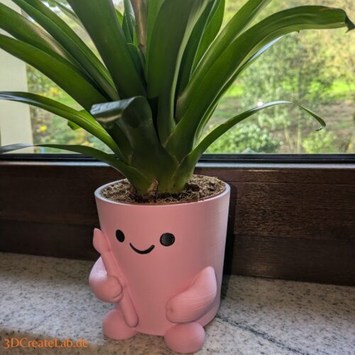 Cute Face Planter – Blumentopf mit Pinsel